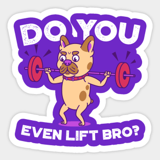 French Bulldog- Do you even lift bro? Sticker